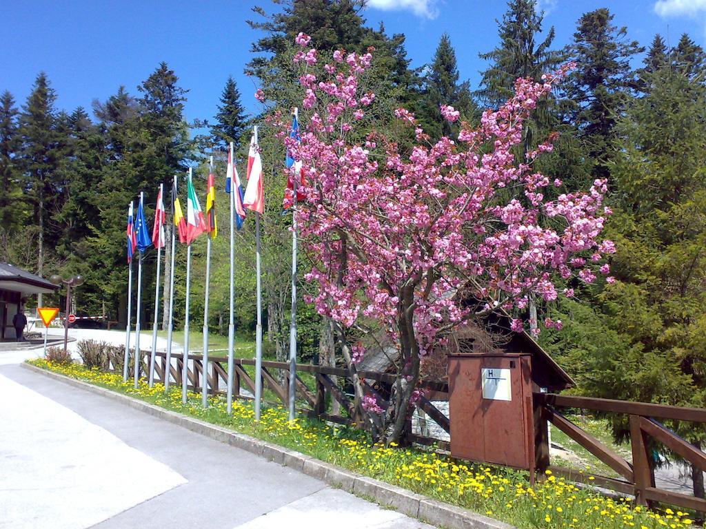 Camping Pivka Jama Postojna Hotel Luaran gambar